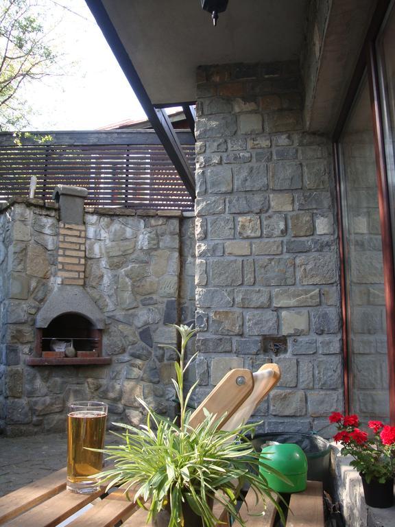 Villa Casuta De Piatra Buşteni Exterior foto